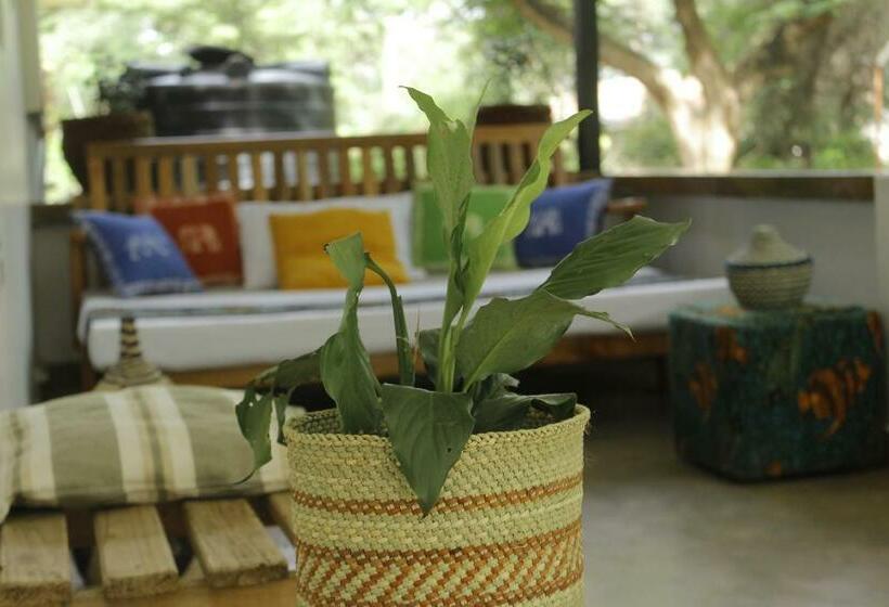 חדר משפחתי, Walk With Us Africa