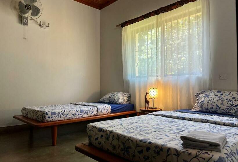 חדר סטנדרט, Walk With Us Africa