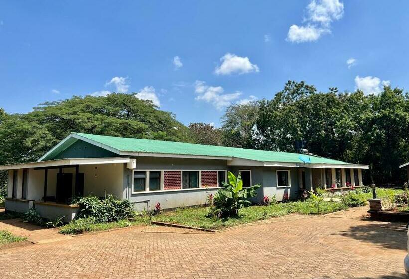 חדר סטנדרט יחיד, Walk With Us Africa