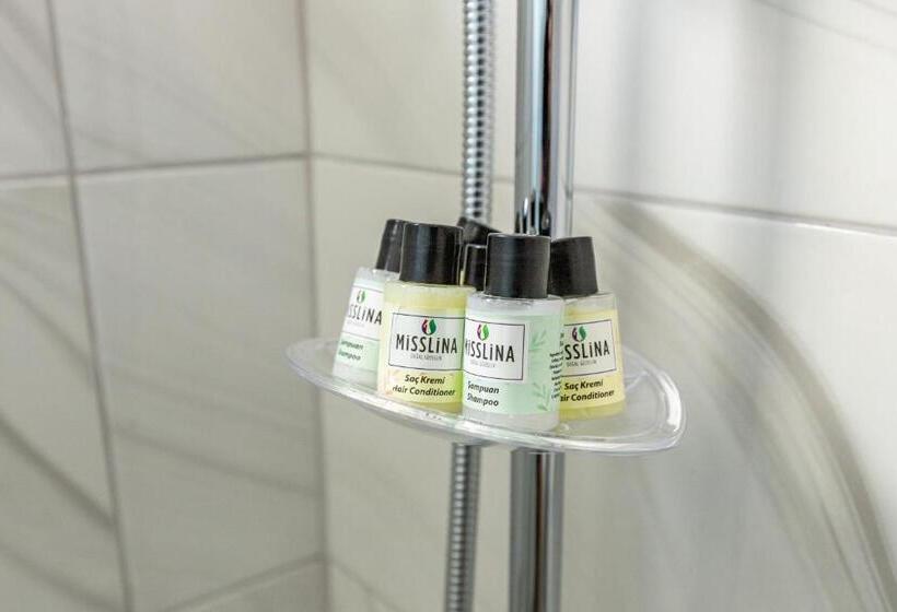 Люкс с Террасой, Bdino Boutique