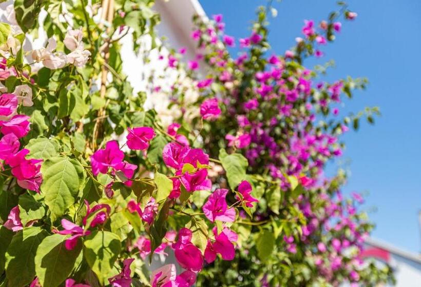 Люкс с Террасой, Bdino Boutique