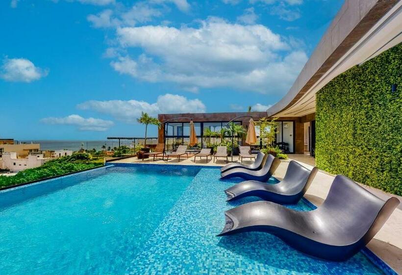 スタンダードスタジオ, Perfect Place 311