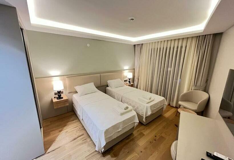 スタンダードルーム, Sezer S Oliva