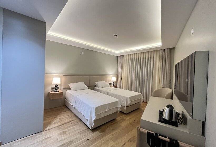 スタンダードルーム, Sezer S Oliva