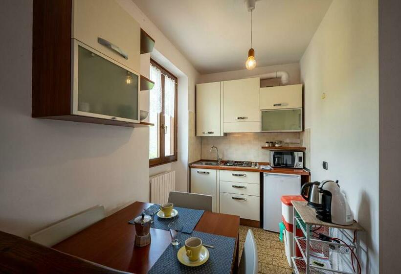 Студия Стандарт, Agribenessere Brenzio