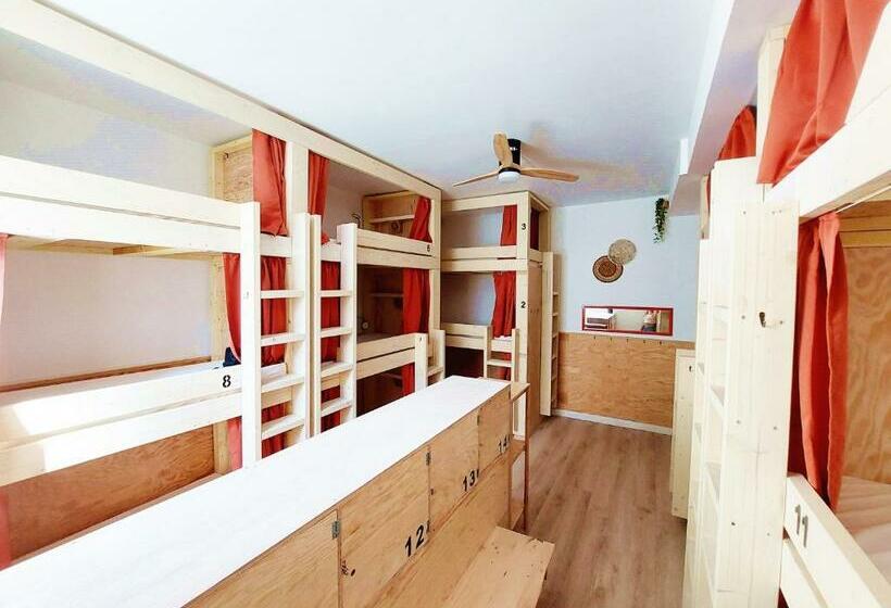 מיטה בחדר משותף, Coast Utopy Hostel