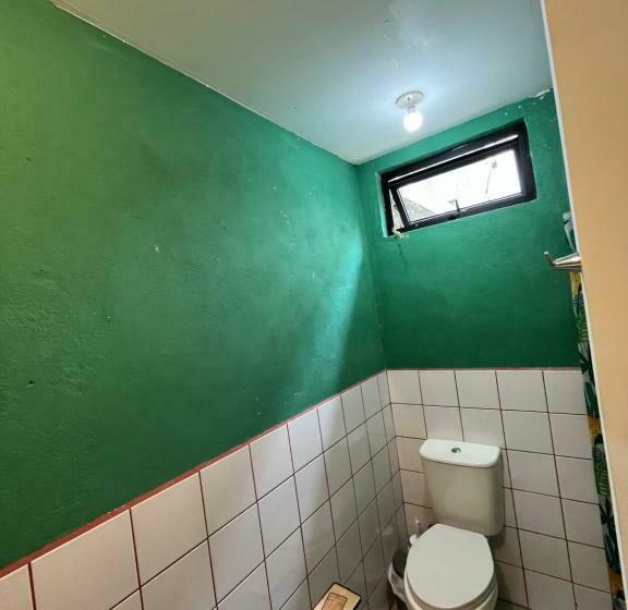 اتاق استاندارد, Stayh Recolecta