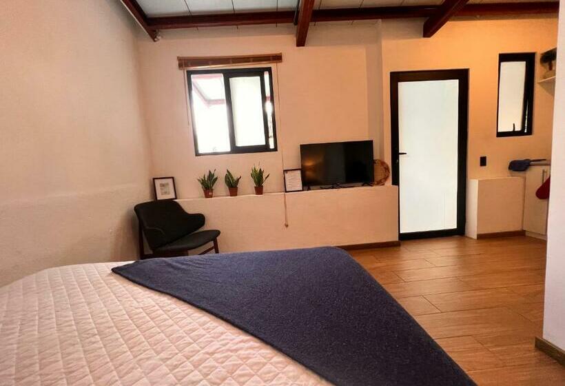 اتاق استاندارد, Stayh Recolecta