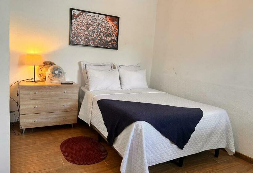 اتاق استاندارد, Stayh Recolecta