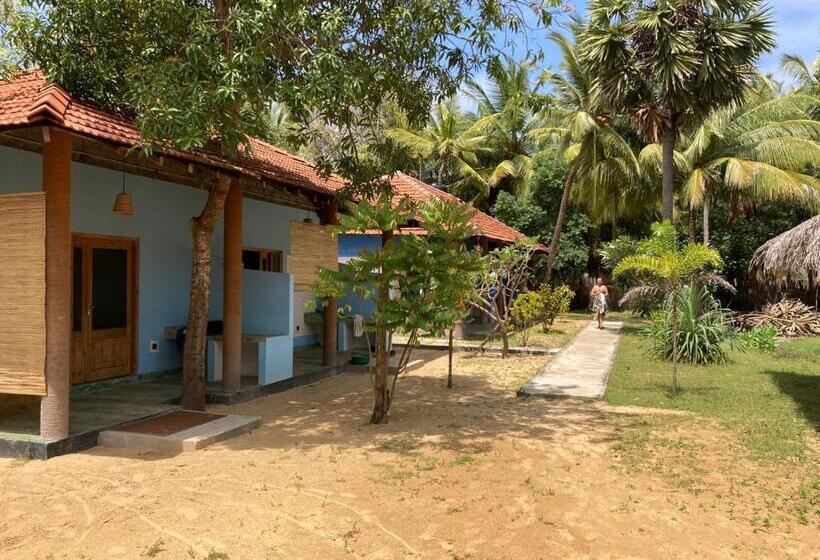 Номер Economy, Kitelife Resort