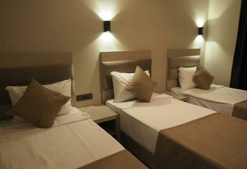 标准三人间, Zenia