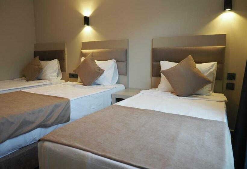 标准三人间, Zenia