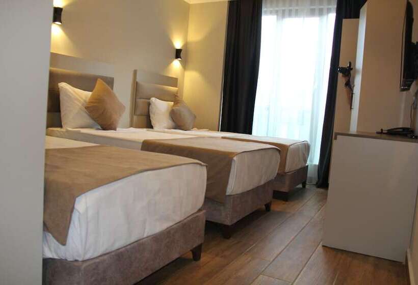 标准三人间, Zenia