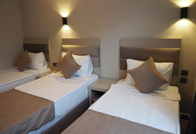 标准三人间, Zenia