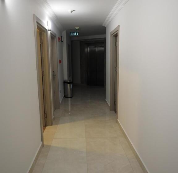 标准三人间, Zenia