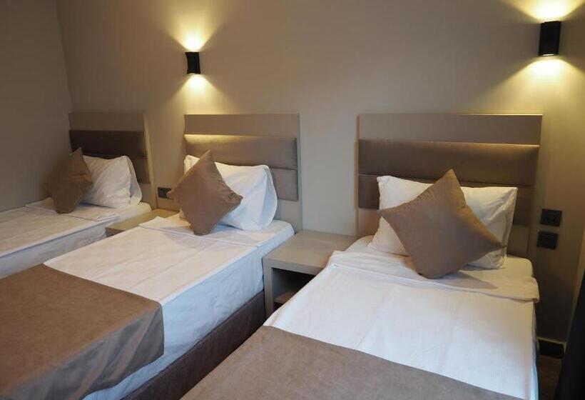 标准三人间, Zenia