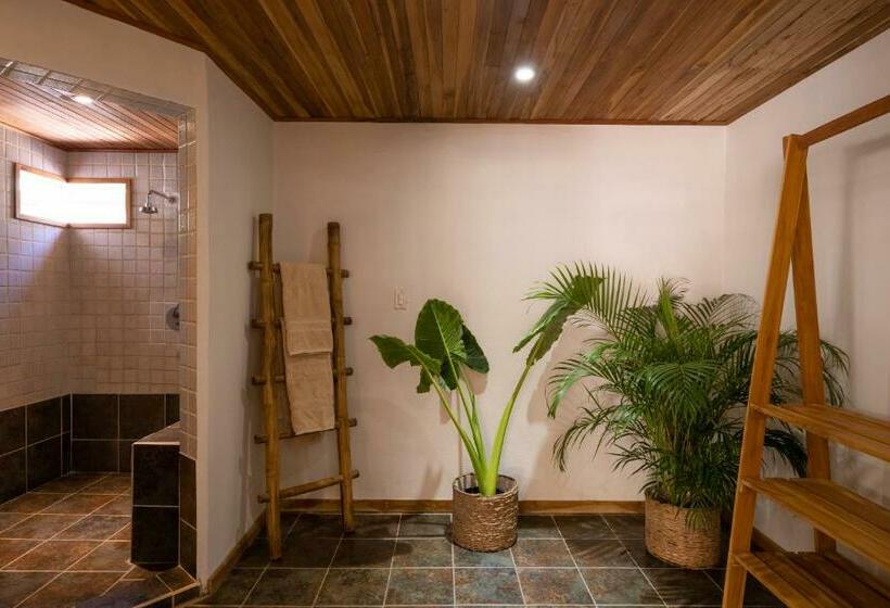 스탠다드 룸 킹사이즈 침대, Dream Surf House Avellana