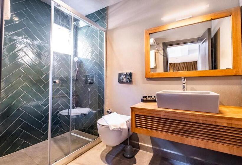 经济房, Isolina Bodrum