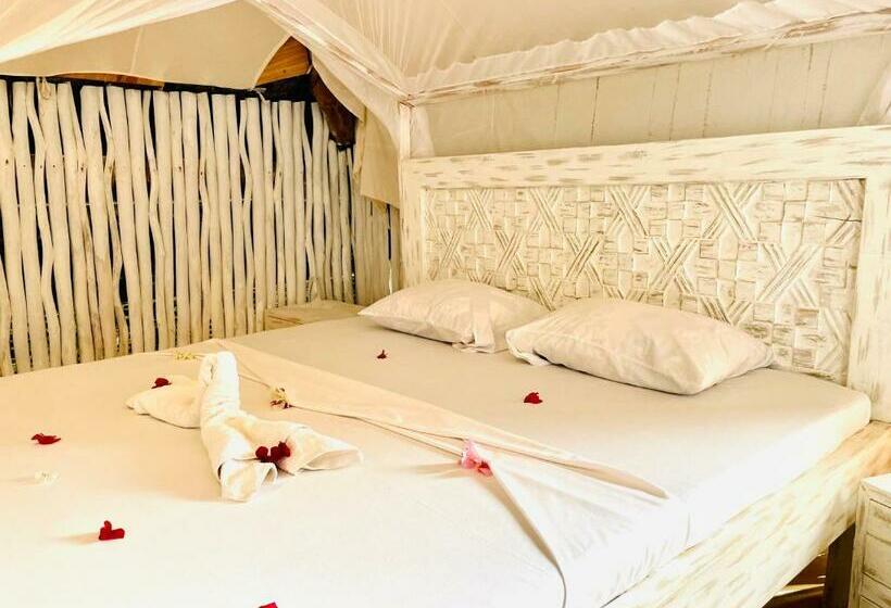 اتاق استاندارد, Nyumba Ya Afrika