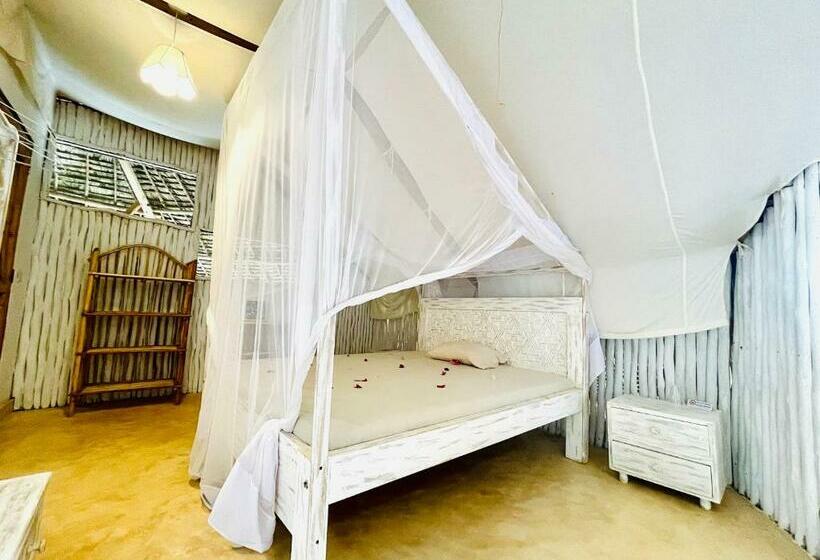 اتاق استاندارد, Nyumba Ya Afrika