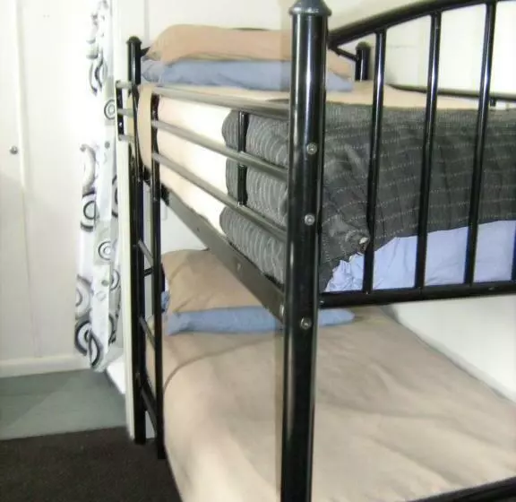 Llit en Habitació Compartida, Downtown Backpackers & Accommodation