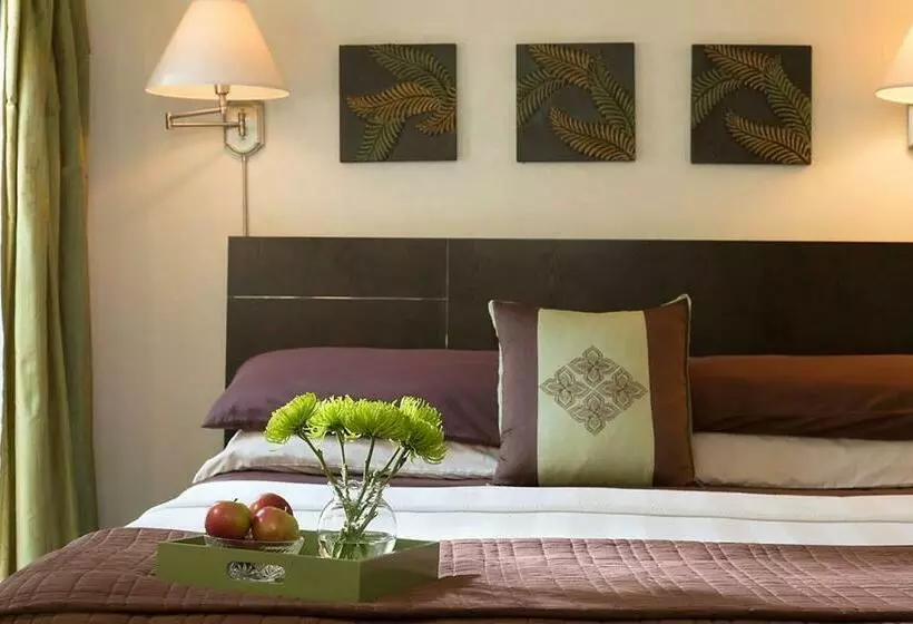キングサイズベッドのデラックスルーム, Casa De Suenos B & B