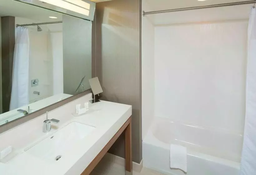 エクゼクティブルーム, Courtyard By Marriott Dallas Midlothian At Midlothian Conference Center