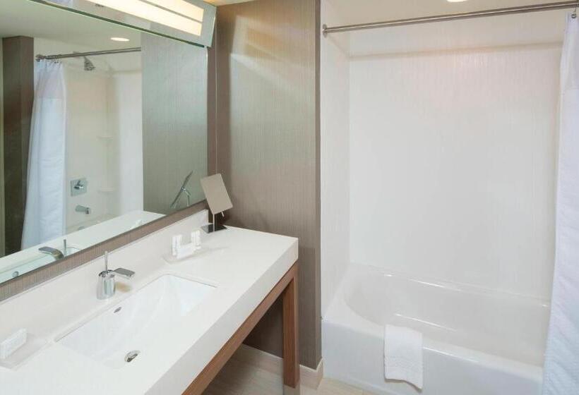 스탠다드 룸 킹사이즈 침대, Courtyard By Marriott Dallas Midlothian At Midlothian Conference Center