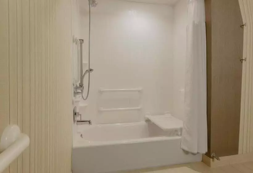 キングサイズベッドのスタンダードルーム, Courtyard By Marriott Dallas Midlothian At Midlothian Conference Center