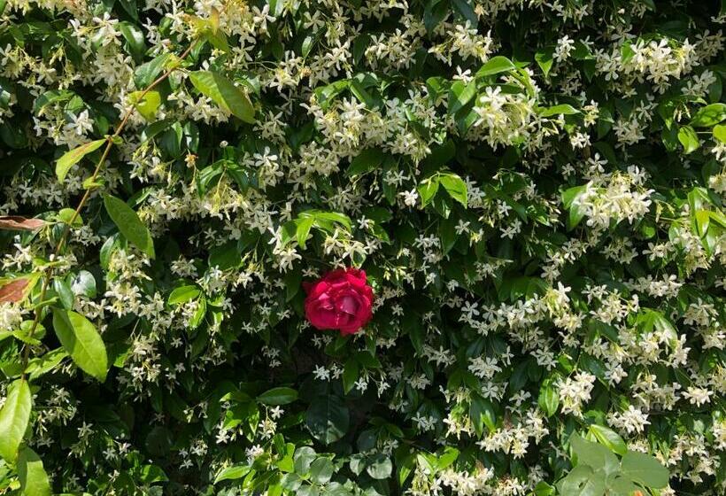 스탠다드 룸, Sensory Garden