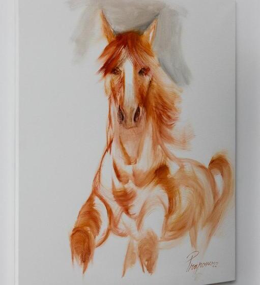 豪华房间, Vila Luca