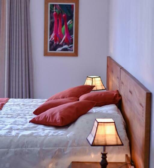 خانه 1 خوابه, Casa Talios