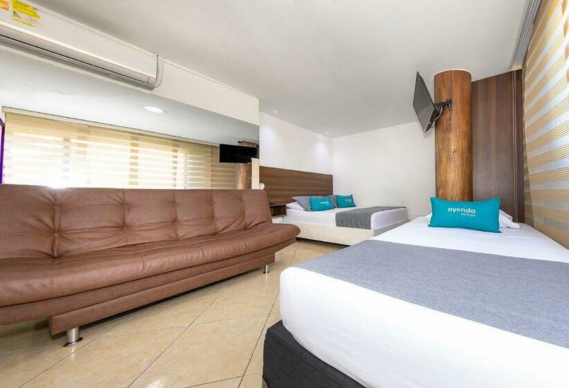 四人高级间, Ayenda Palo Alto