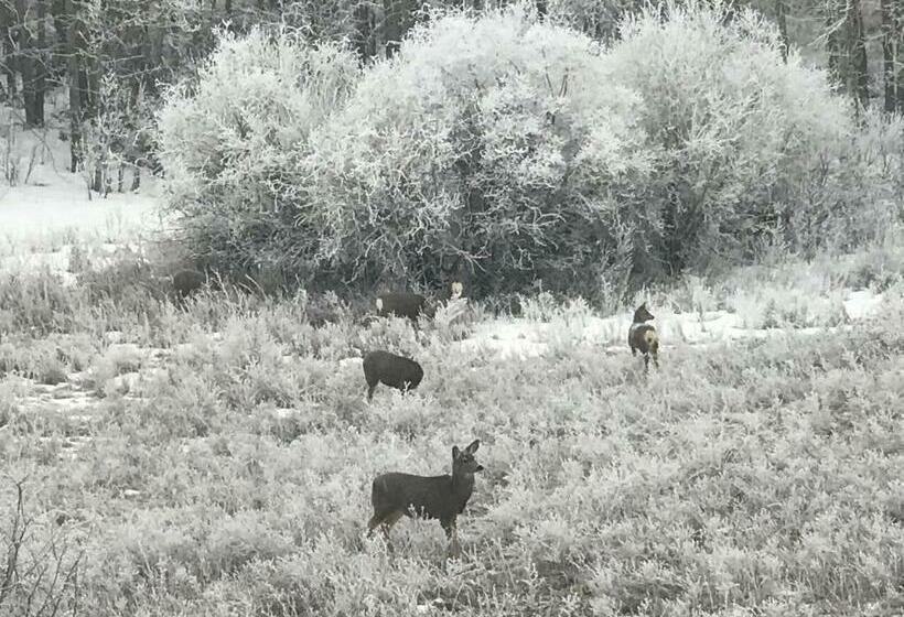 جناح مطلّ علي الجبل, 民宿ann S House In Calgary
