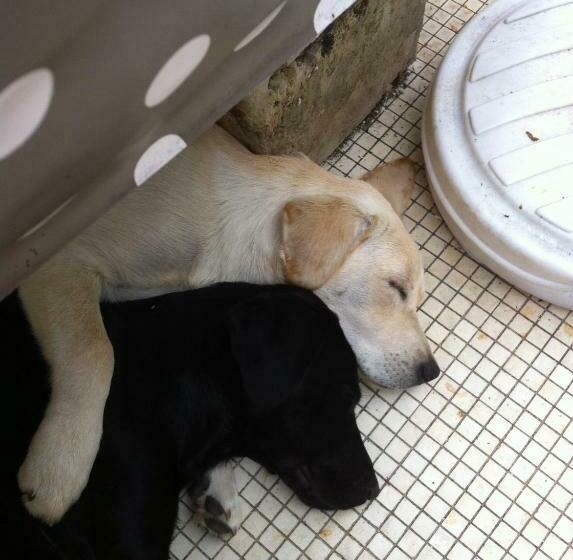 스탠다드 룸 공동 욕실, La Clapere De Bonne