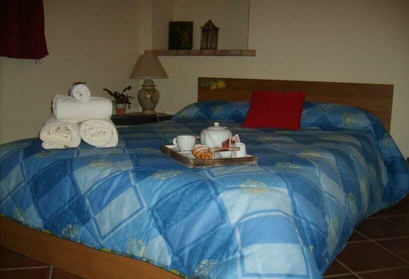 Номер Стандарт, Grappoloduva B&b