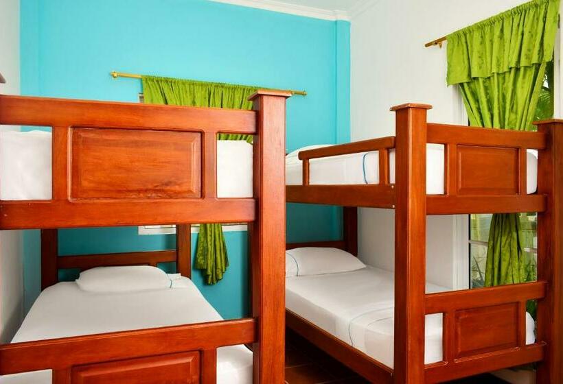 شقة غرفة نوم واحدة بالطابق الأرضى, Isla Mágica