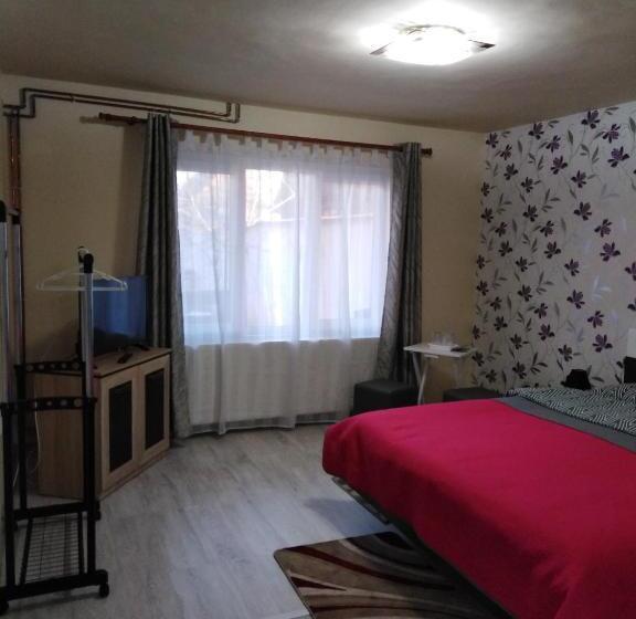 Quarto Standard Cama King para Deficientes, Casa Cu Butoi