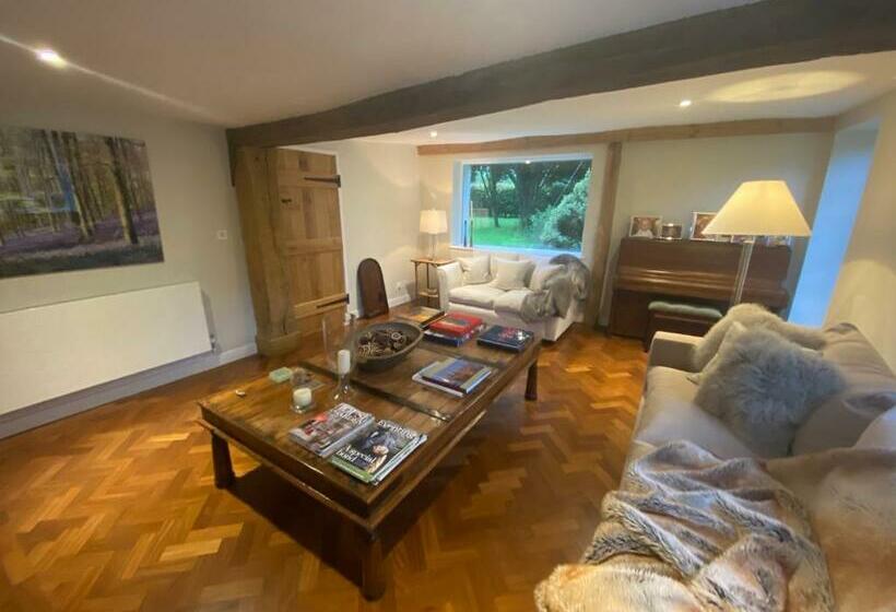 Deluxe Rum, Charlton End   Goodwood Events