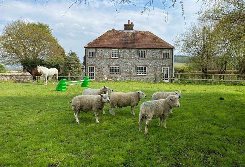 Deluxe Rum, Charlton End   Goodwood Events