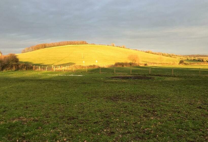 Deluxe Rum, Charlton End   Goodwood Events