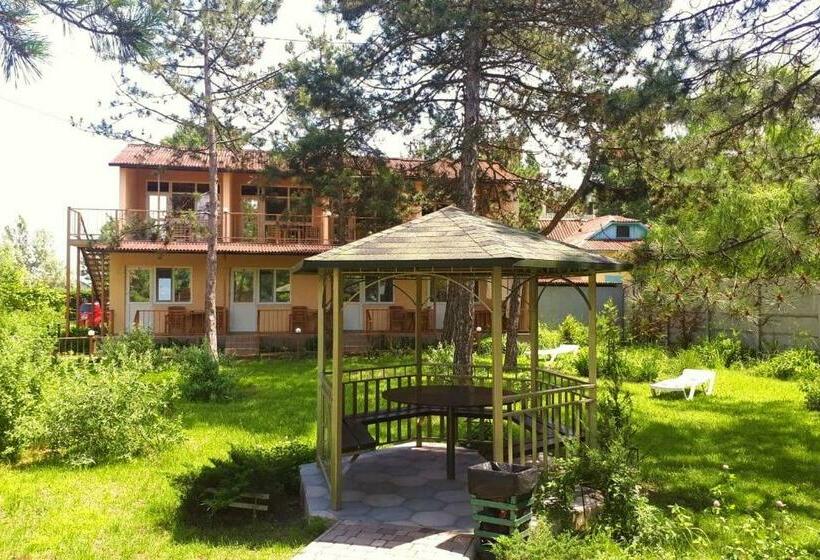 اتاق سوپریور, ассоль