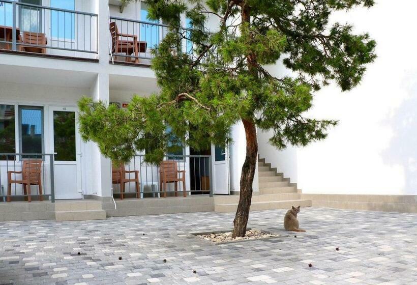 اتاق سوپریور, ассоль