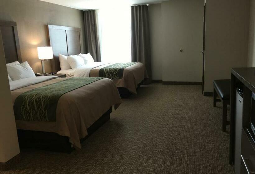 带大床的标准间, Comfort Inn & Suites Snyder
