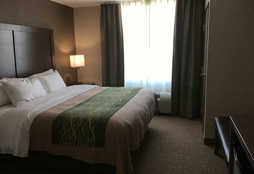 Стандартный Номер Кровать Кинг, Comfort Inn & Suites Snyder