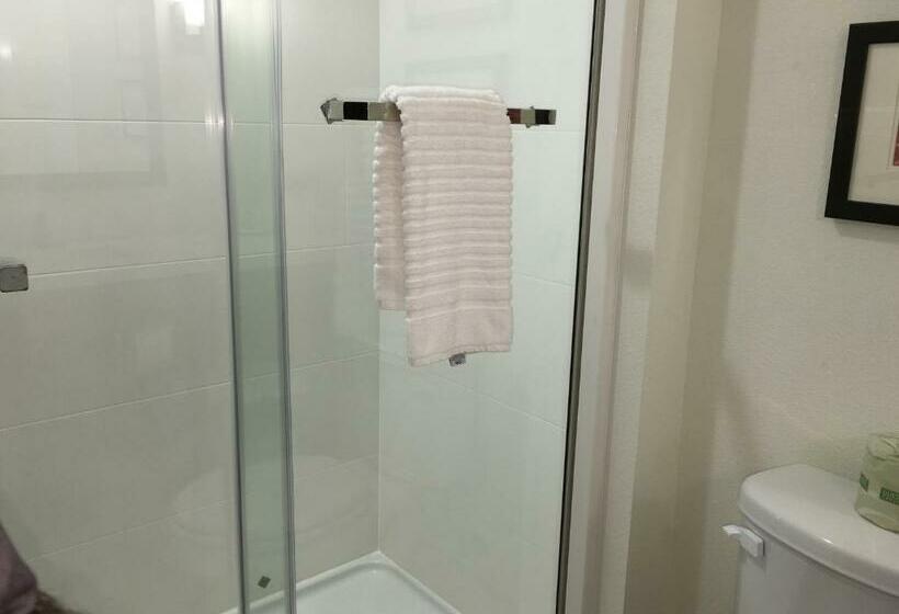 스탠다드 룸 킹사이즈 침대, Comfort Inn & Suites Snyder