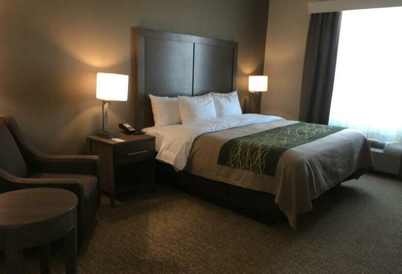 스탠다드 룸 킹사이즈 침대, Comfort Inn & Suites Snyder