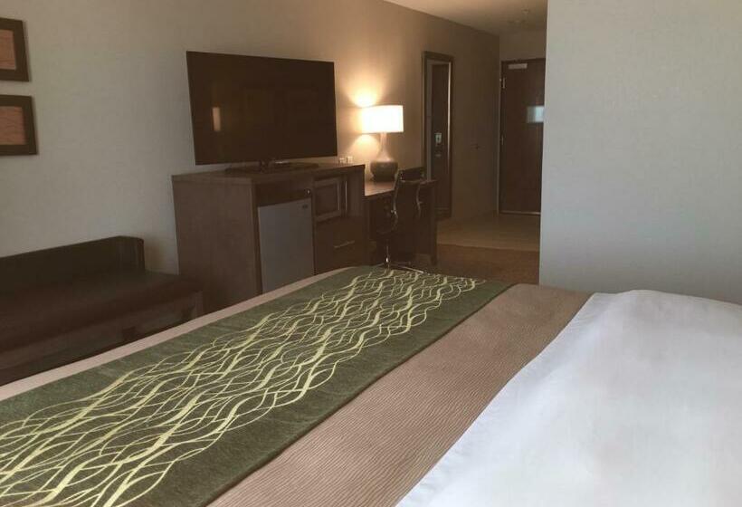 חדר סטנדרט עם מיטת קינג, Comfort Inn & Suites Snyder