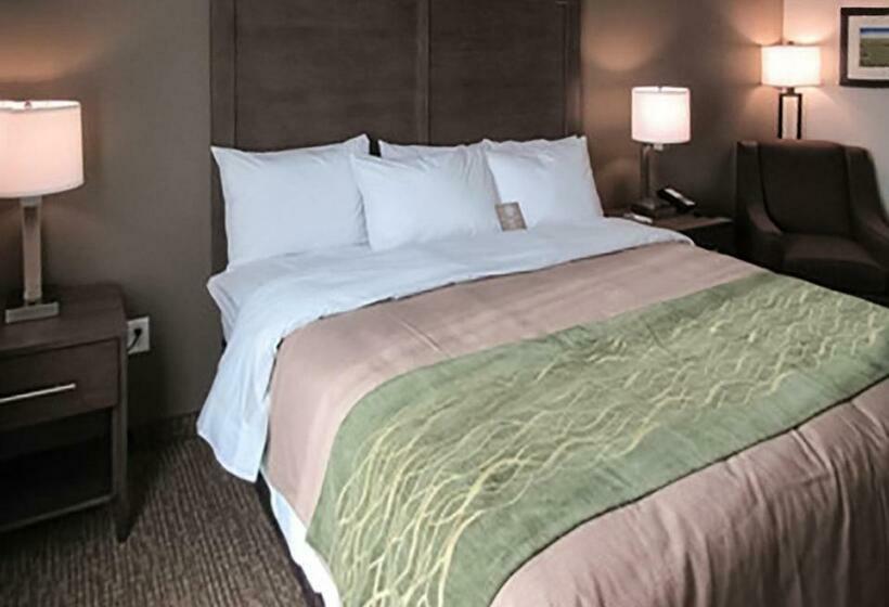 חדר סטנדרט עם מיטת קינג, Comfort Inn & Suites Snyder