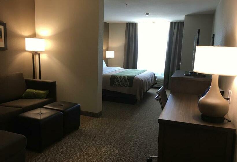 Стандартный Номер Кровать Кинг, Comfort Inn & Suites Snyder